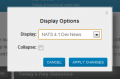 4.1 display options.png