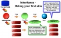 Skins inheritance 3.jpg